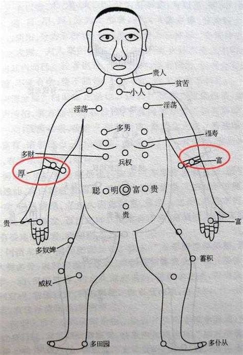 肩 痣|女人左肩膀有痣代表什么意思 女人肩膀痣的位置与命运图解